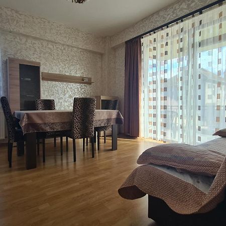 Perfect Stay -Free Underground Parking Place, Free Late Check-Out Sibiu Exterior photo
